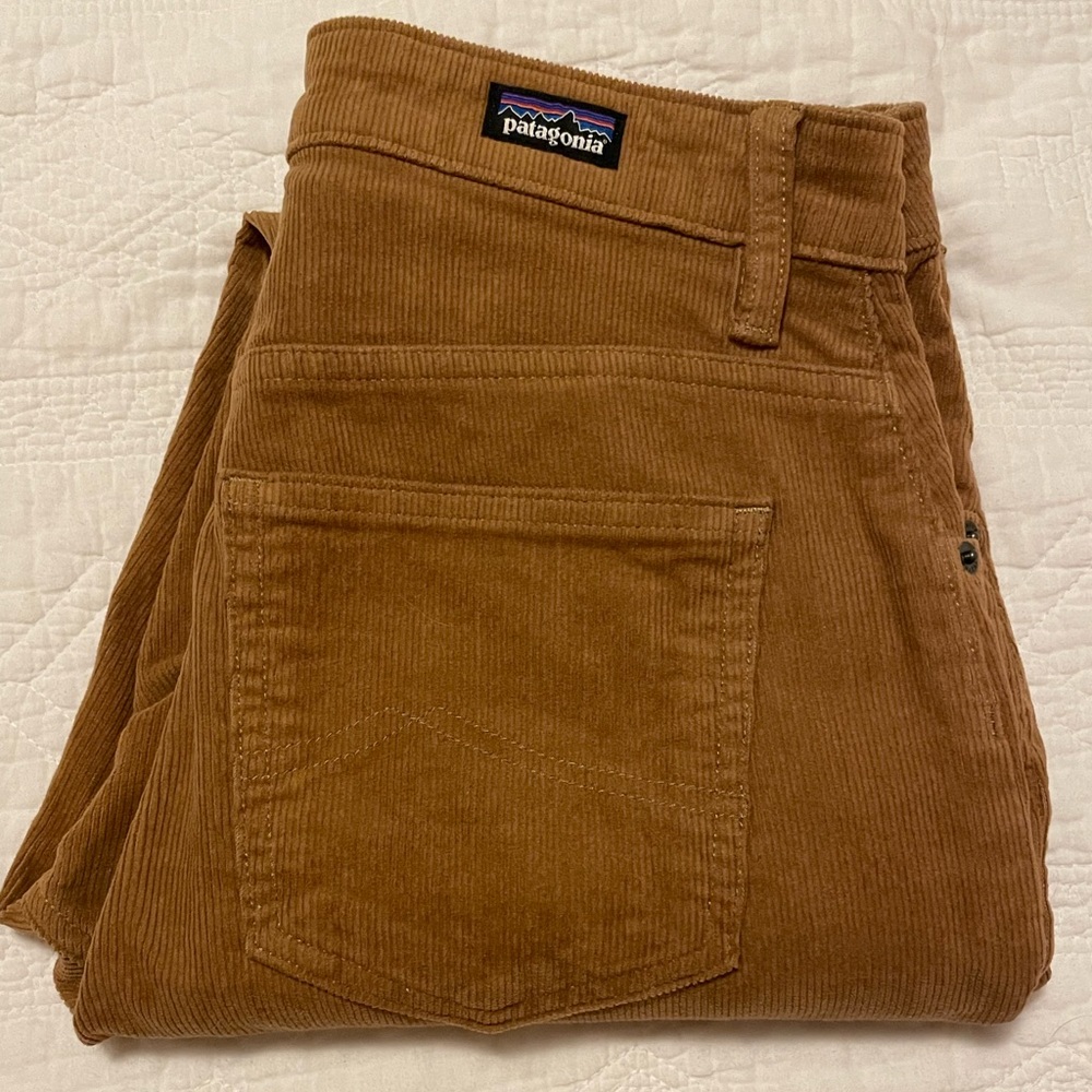 Patagonia Brown Corduroy Pants